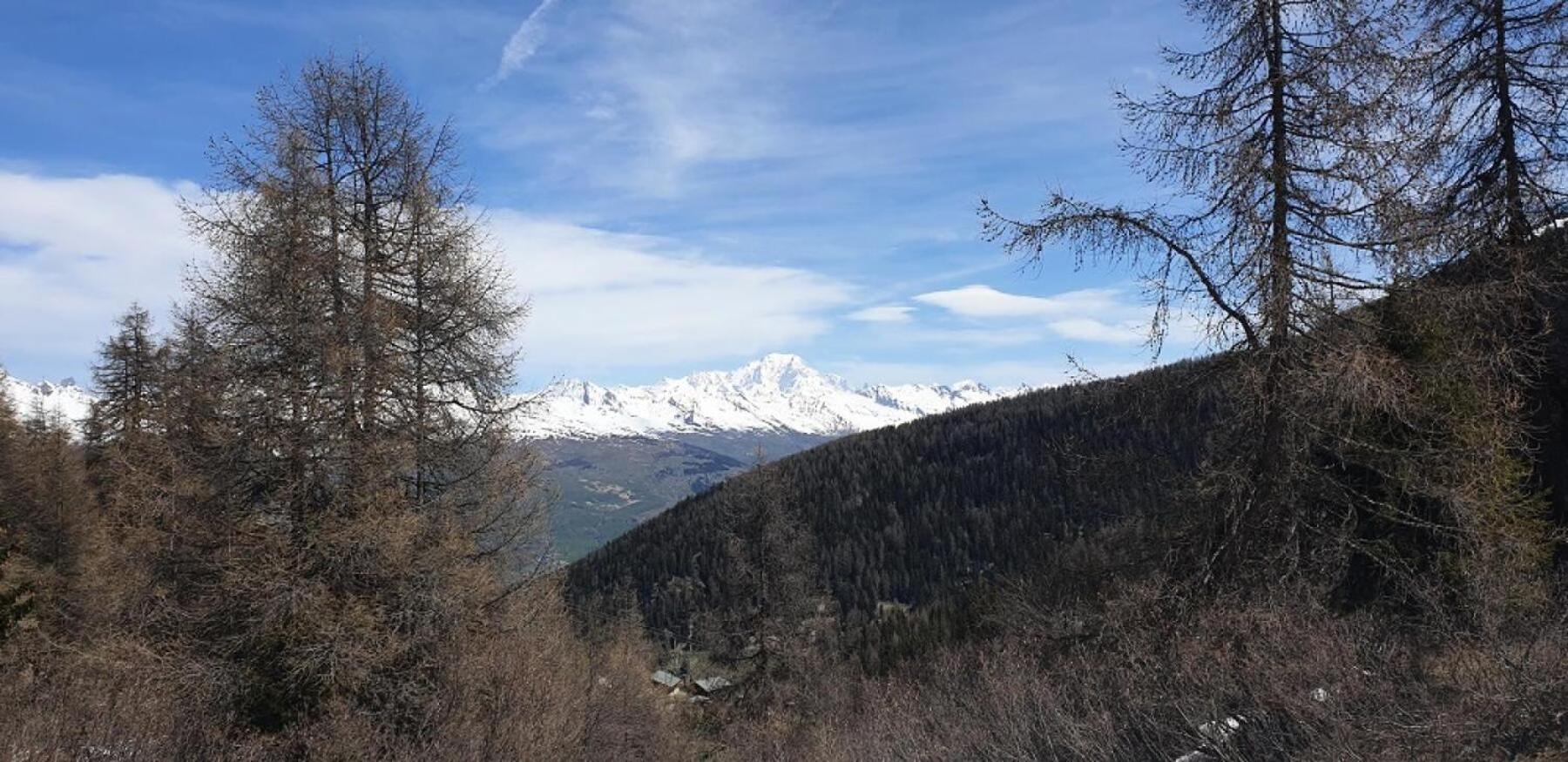 Residence Plagne Lauze - Maeva Home - Appartement 2 Pieces 5 Personnes - Confort Mae-9202 Macot-la-Plagne Экстерьер фото